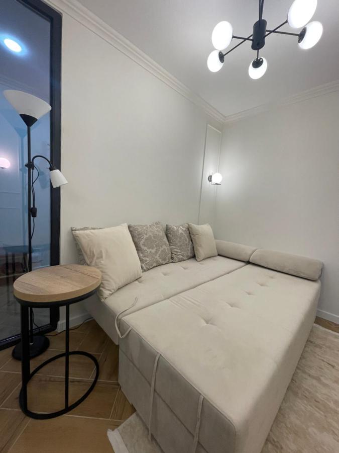 Renthouse Apartments Neoclassic キシナウ エクステリア 写真
